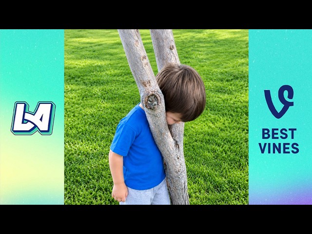 20 Minutes Of The Funniest Videos On The Internet 😆 TRY NOT TO LAUGH