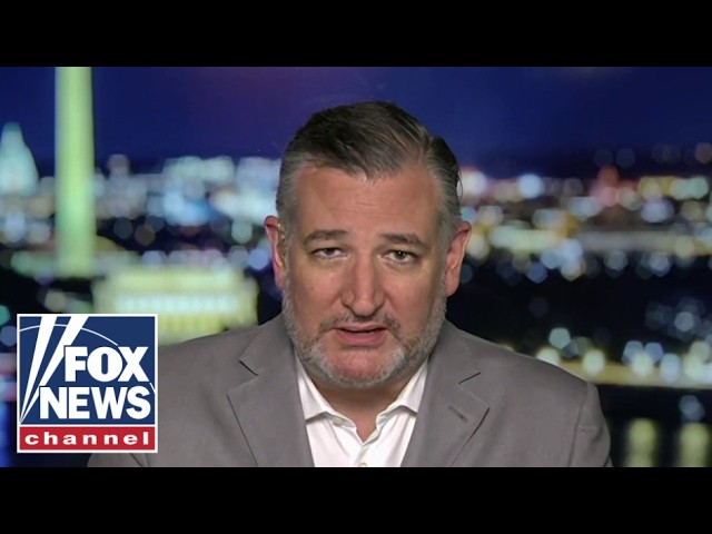 Europe should be a WARNING to America: Sen Ted Cruz