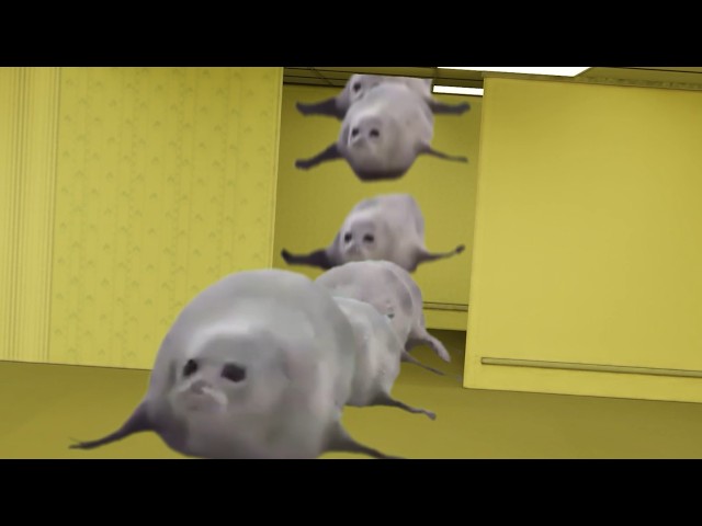 Bouncing Seals In The Backrooms