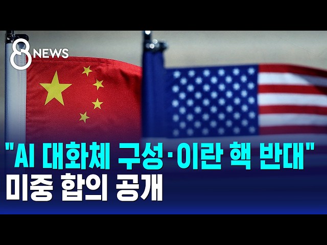 "US-China Agreement Revealed: AI Dialogue Channel Set Up and Opposition to Iranian Nukes" / SBS 8...