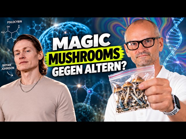 Amazing! Magic Mushrooms and the New Longevity Research