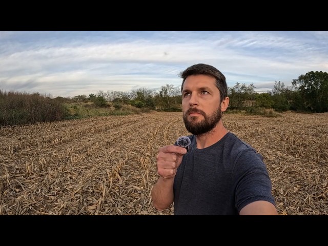 ASMR at a quiet Farm