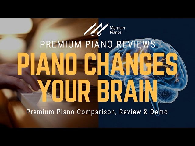 🎹﻿ What Learning Piano Actually Does to Your Brain ﻿🎹