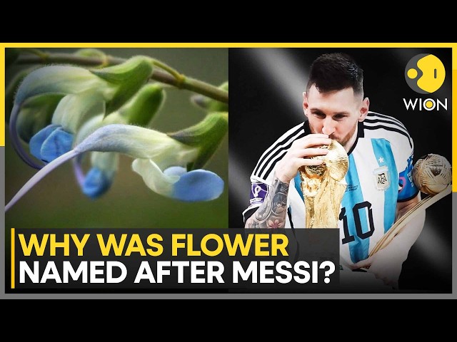 Lionel Messi Gets His Own Flower: Endangered Plant Species in Peru | WION