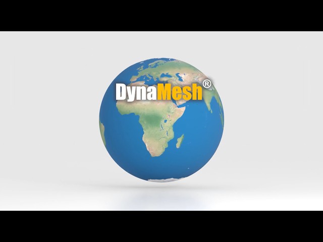 About DynaMesh®