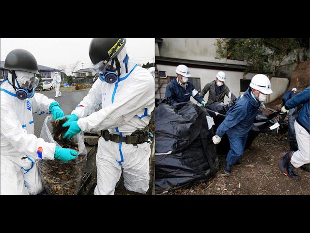 Futaba Evacuation Order To Be Partially Lifted in Parts of Fukushima Towns Nuclear Wasteland