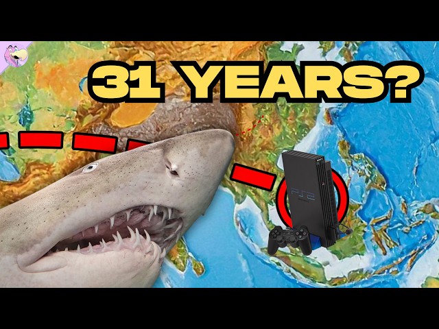 Bizarrely Late PS2 Licensed Games...