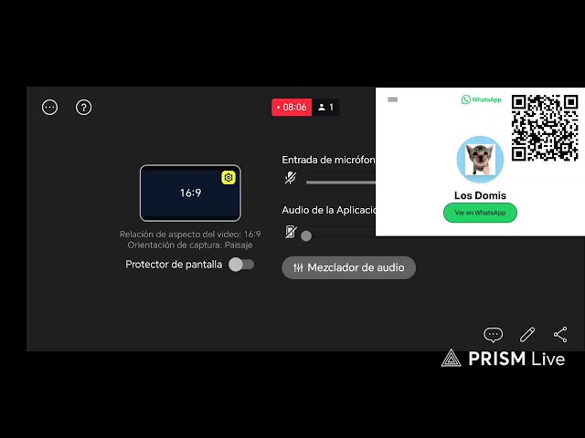 Transmisión en directo de Domi Domi