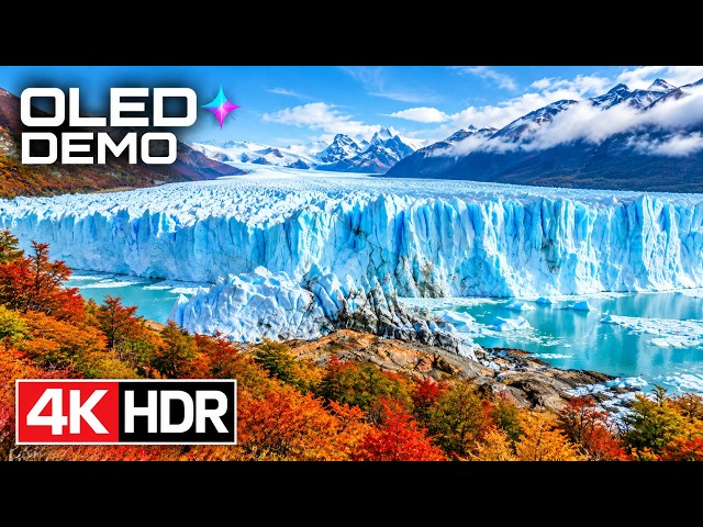 Crystal-Clear Nature | 4K HDR 60FPS OLED Experience
