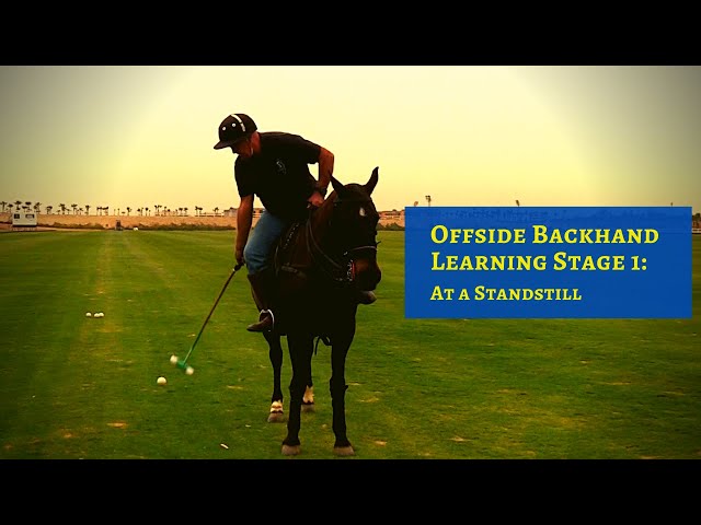Offside Backhand Learning Stage 1 PREVIEW (At a Standstill)