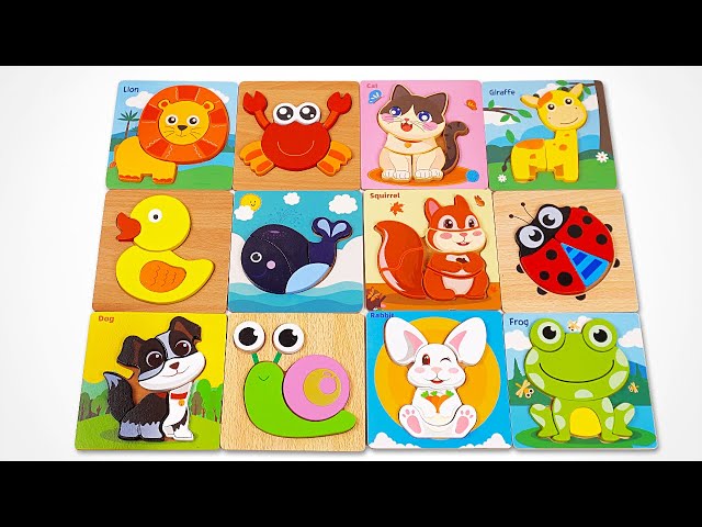 Discover Animal Shapes & Their Names with Puzzles 🧩 | kids fun video for Toddlers