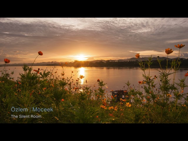 Ozlem – Melancholic Ambient Composition | Moceek | The Silent Room