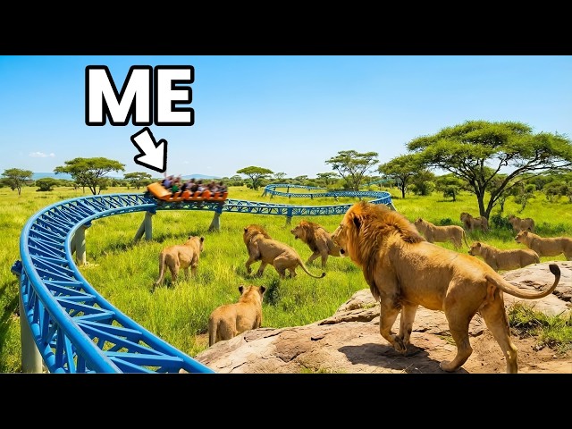 I Tried Every Wild Theme Park