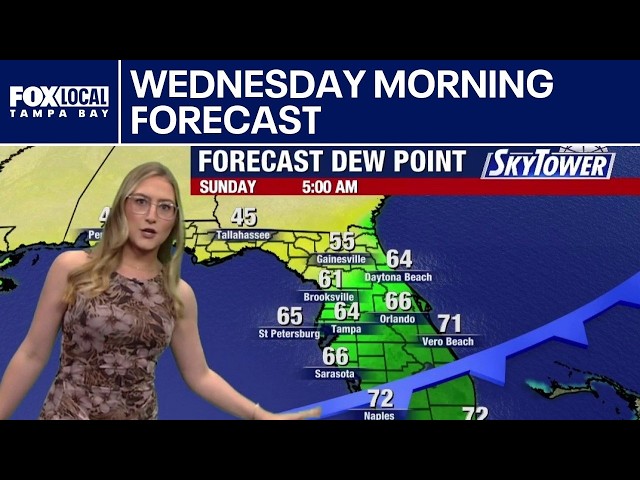 Tampa weather | Wednesday morning forecast