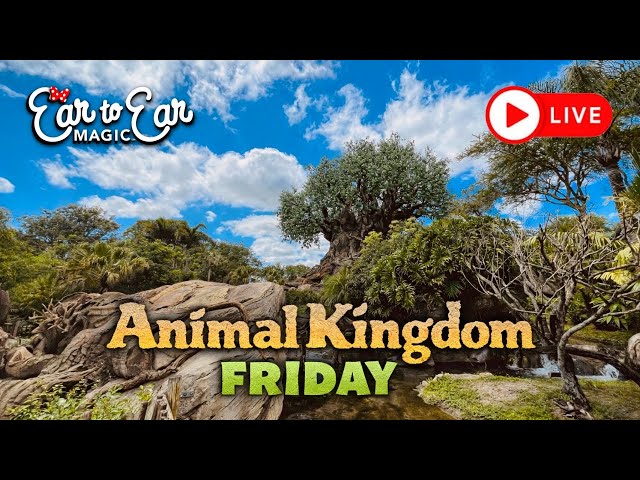 🔴 LIVE - Disney Animal Kingdom Theme Park - Live Stream 09.18.2026