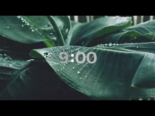9 Minutes Timer | Relaxing Sleep Sound | Rain sounds