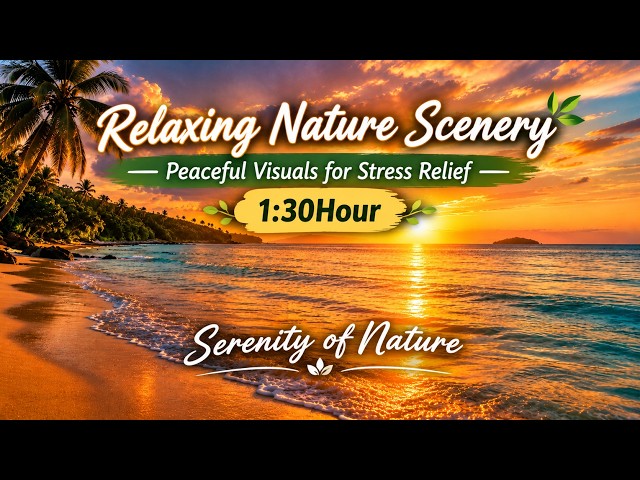Relaxing Nature Scenery   Peaceful Visuals for Stress Relief 4K