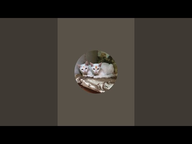lucie and ruby is live