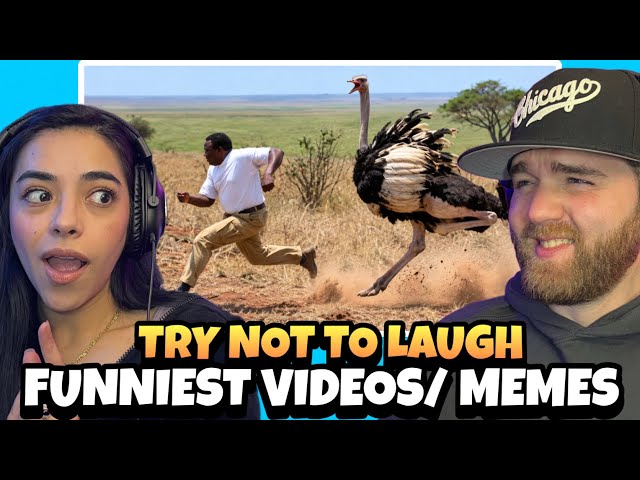 TRY NOT TO LAUGH | Best Funny Videos Compilation & Memes| OUR RIBS HURT FOR DAYS AFTER THIS