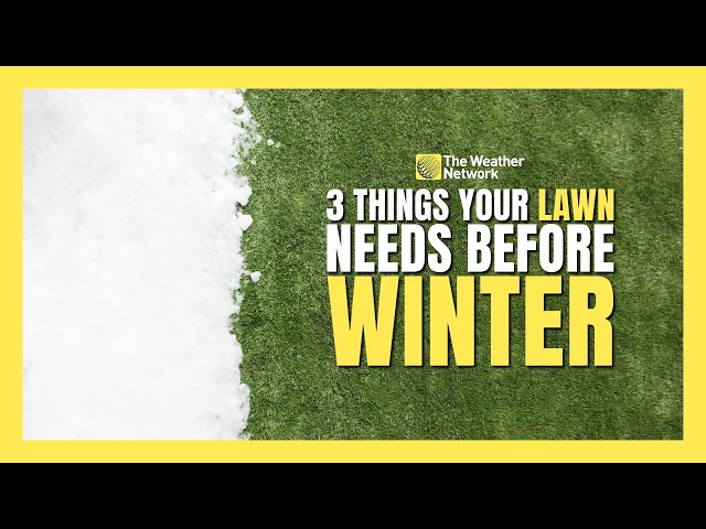 3 things your lawn needs before the first snowfall