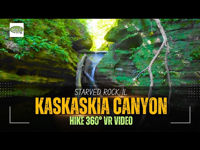 Starved Rock, IL - Kaskaskia Canyon (Hike 360° VR Video)