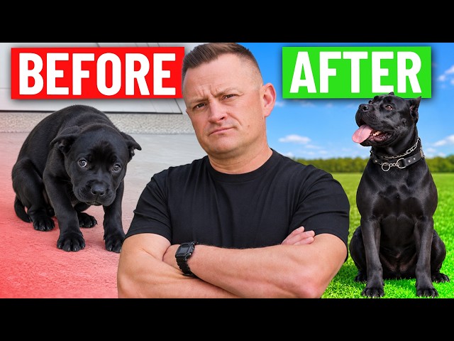 Can a FEARFUL Puppy Be a Service Dog?!