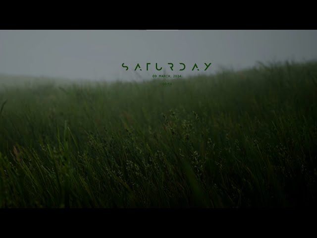 Как сделать красивый рабочий стол     (Wallpaper engine, Rainmater, Lively Wallpaper)