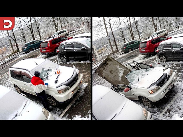 54 Of The Best Security Cam Videos Ever