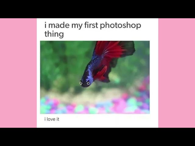 Late Night Tumblr Posts 2025