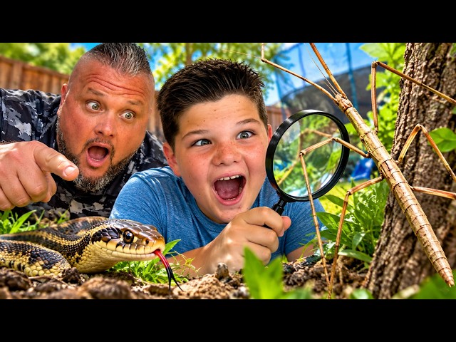 KIDS BACKYARD BUG HUNT! CALEB Found a GIANT Stick Bug & Snake!