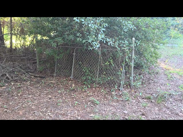 Somebody tore the gate off McIntyre Cemetery --Danny Hart 2026-09-29