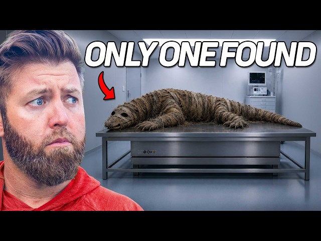 5 Animals That Have Only Been Seen Once