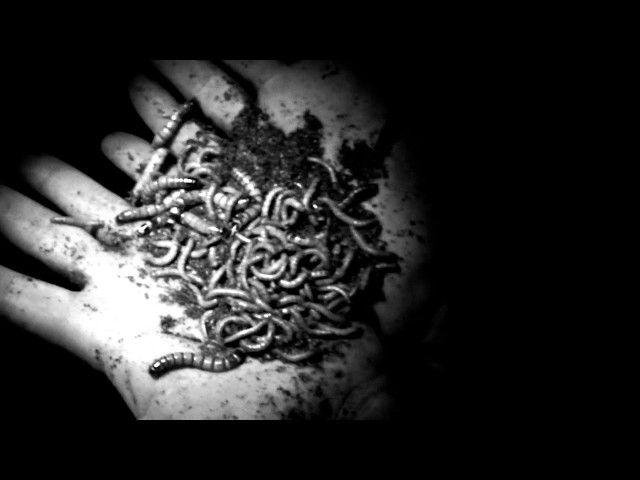 CENTURION "Basilica Of Lies" (OFFICIAL VIDEO)