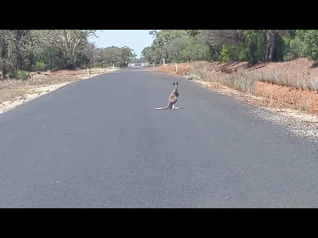 Impressions from Down Under