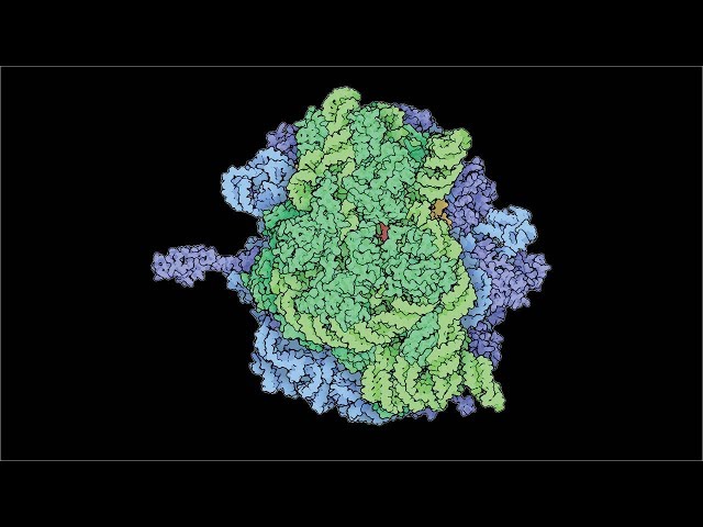 Origins of Life: Introduction - Pattern Formation  - Reaction Diffusion Systems | Chris Kempes