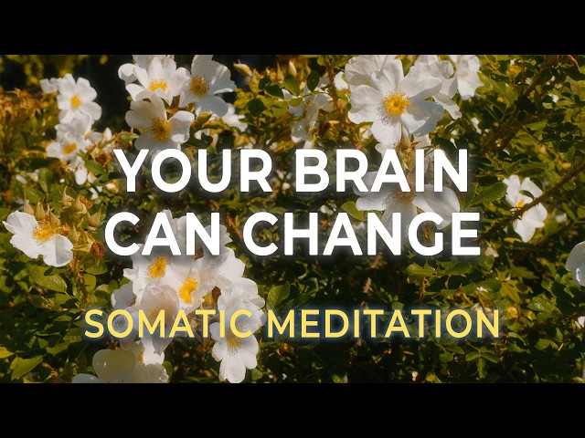 Rewire Your Brain for Safety | Somatic Meditation for Trauma Healing
