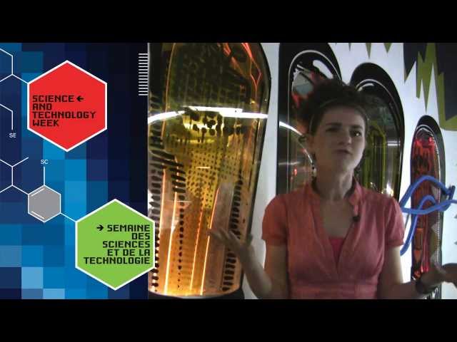 National Science and Technology Week Champion | Patricia