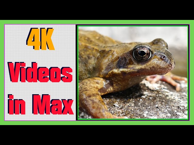 How to Convert Your Video Files to HAP Codec using FFmpeg and Play Them in Max/MSP