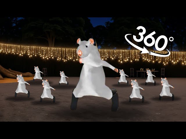Rat dance - Lost in 360° VR | ( Rat dance meme )