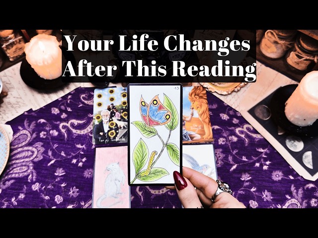 YOUR LIFE CHANGES AFTER THIS READING