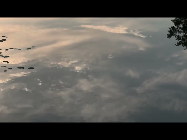 4K Sunset Timelapse Footage — Stray Cat's Sky CC BY, No Audio, No Filter Vol 29