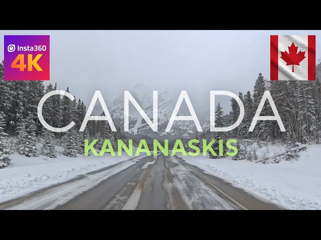 [360°] [4K] Kananaskis | Driving POV | Canmore, Canada