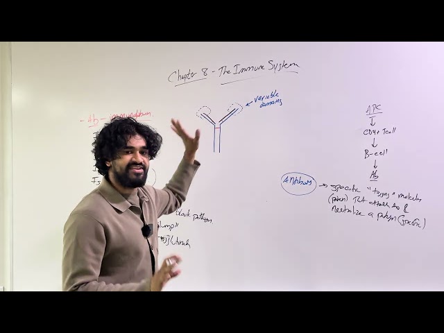 2025-2026 MCAT General Biology, Chapter 8- The Immune System (Part 2)
